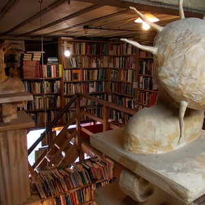 Inside the Onehunga shop